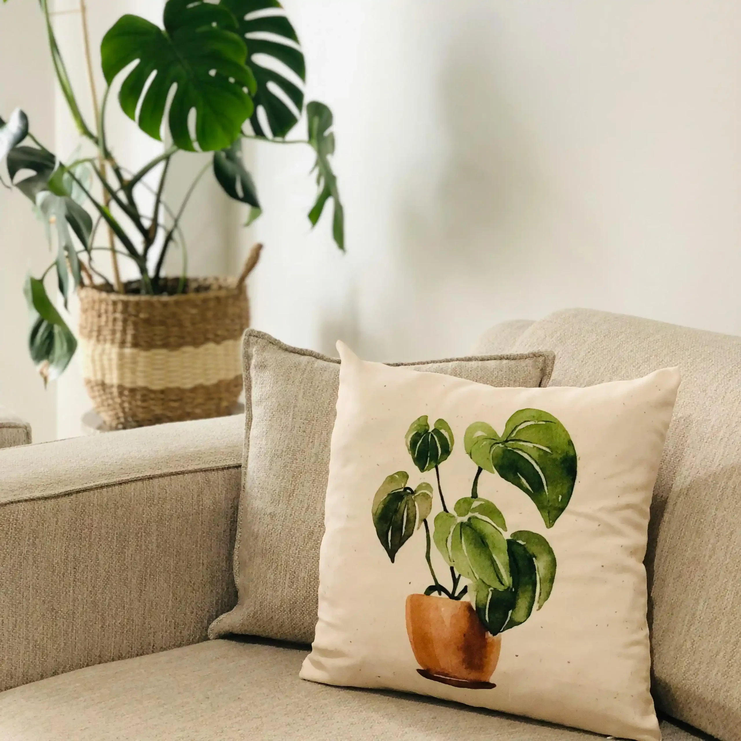 Calm indoor space symbolising a safe and supportive environment